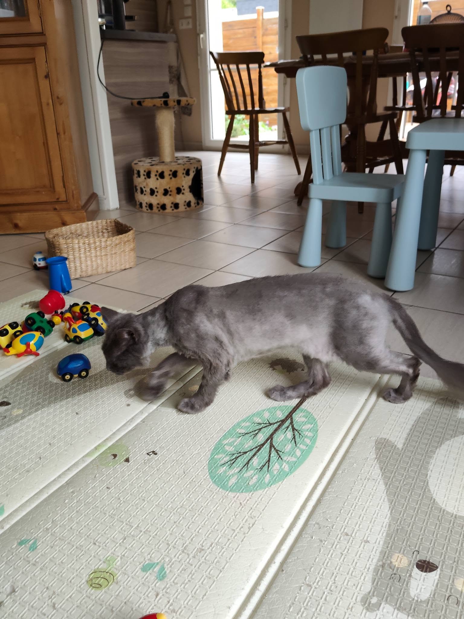 Oscar