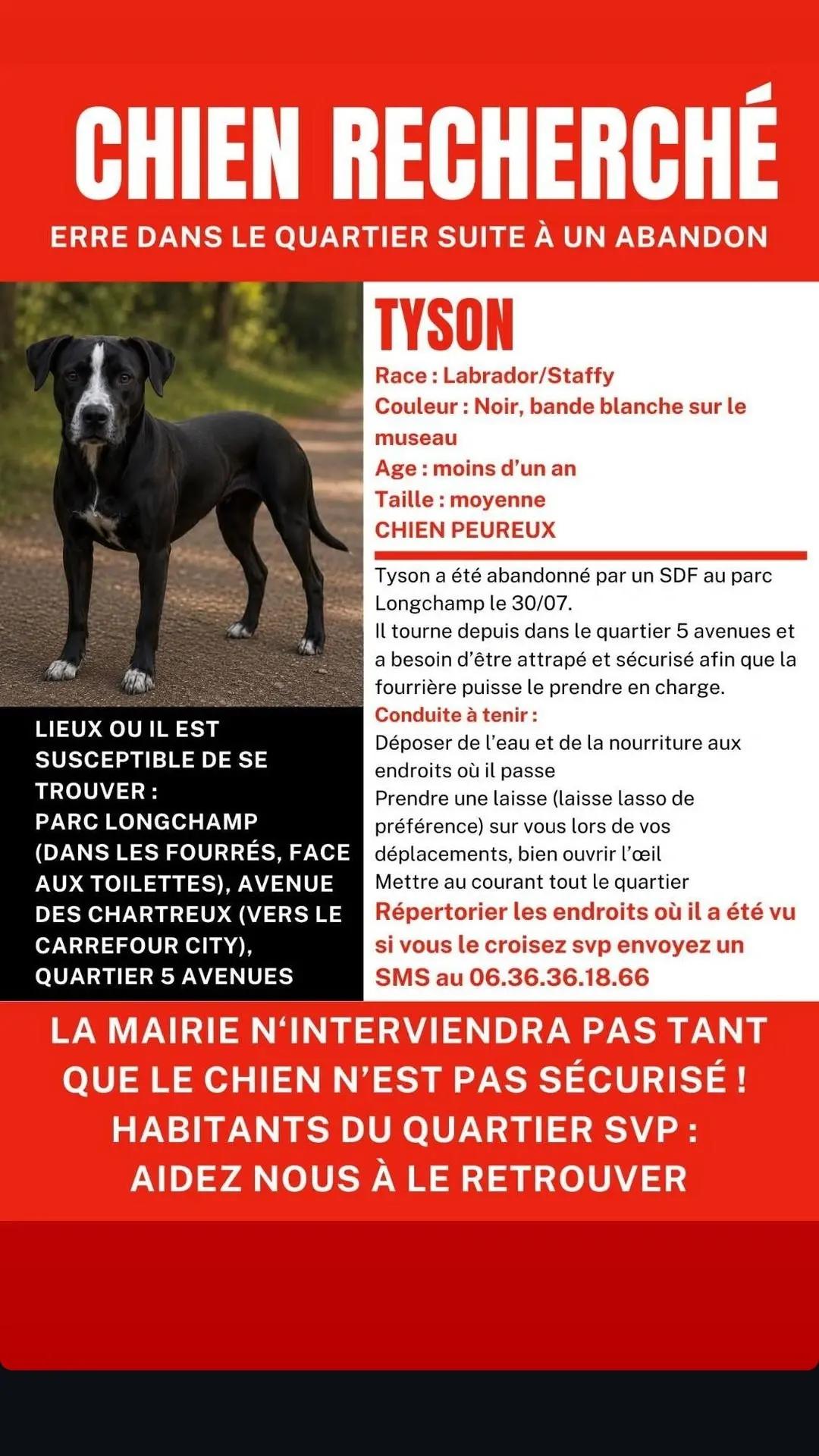 Tyson