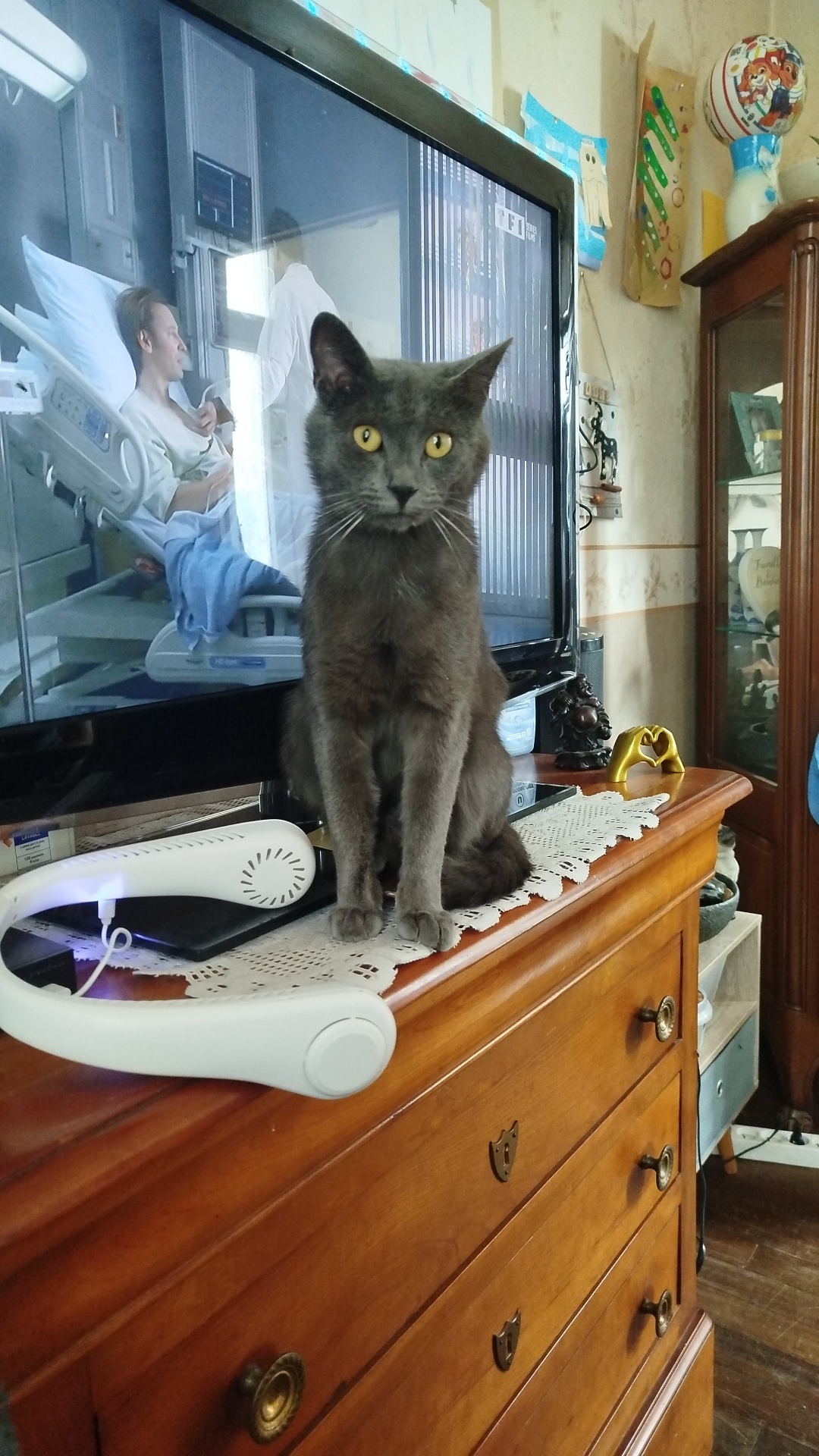 Kiki