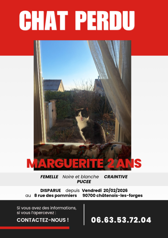 Marguerite