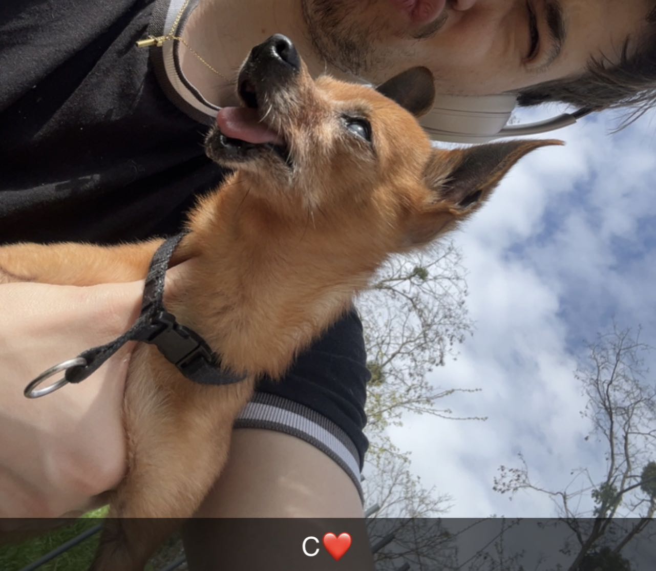 Chico