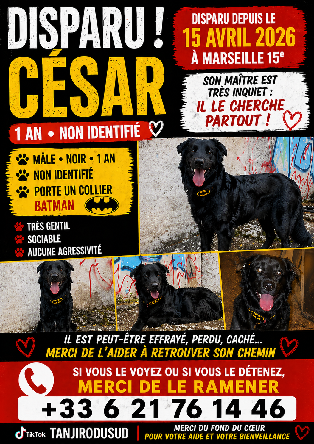 César