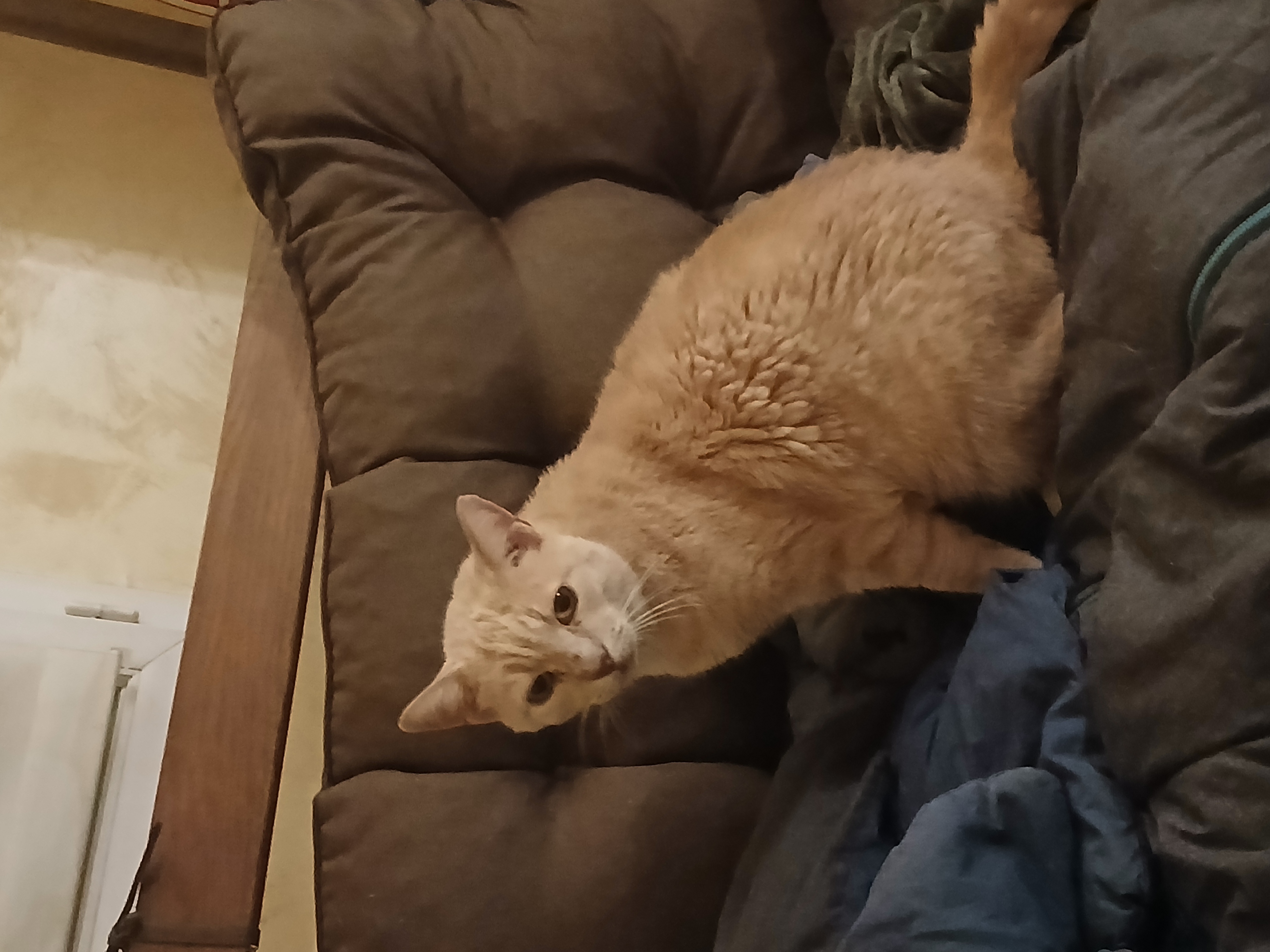 Caramel