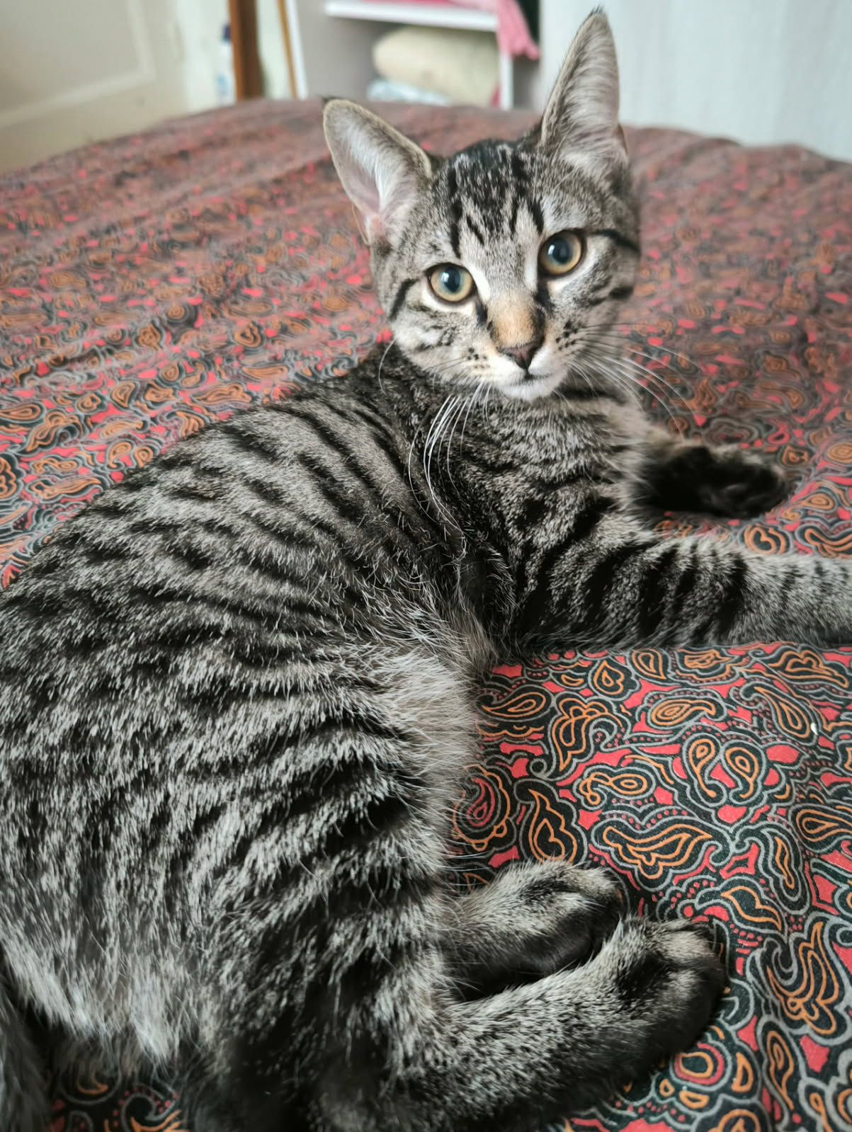 Sirius