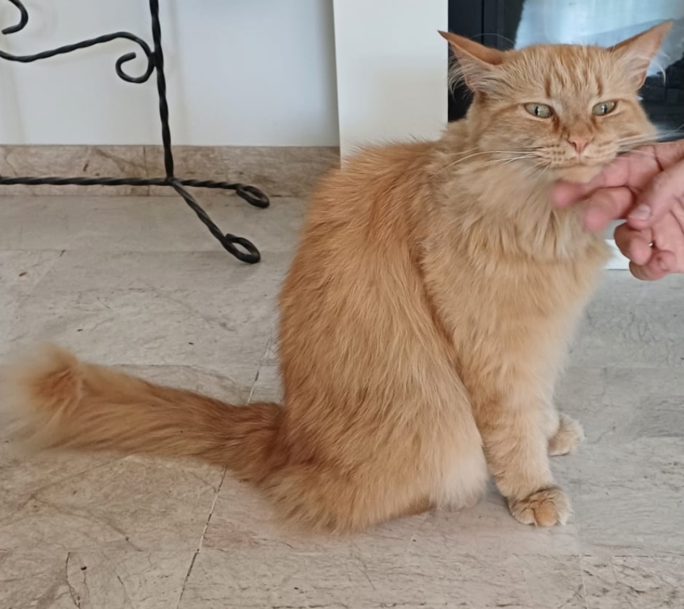 Winnie