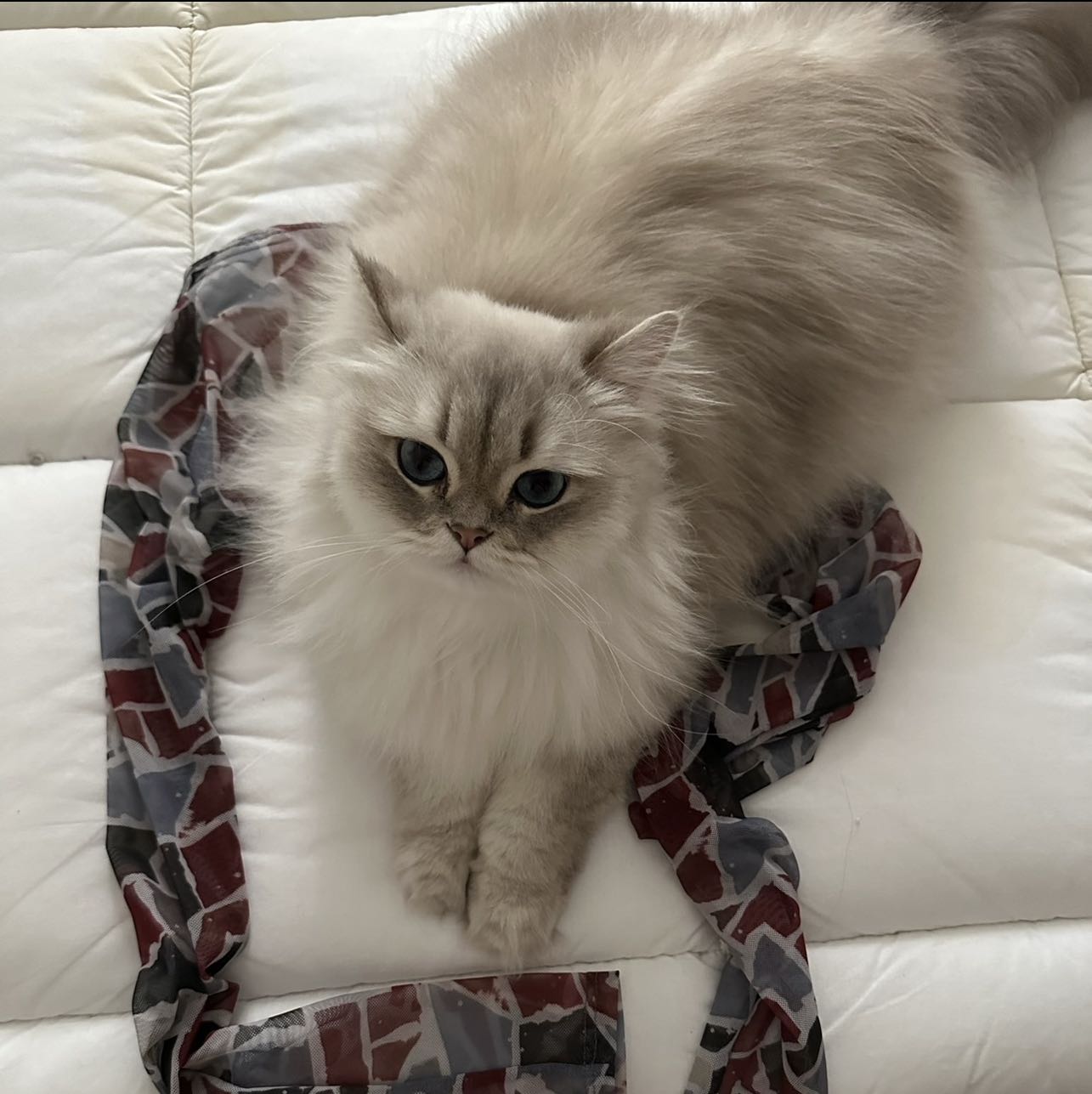 Missing