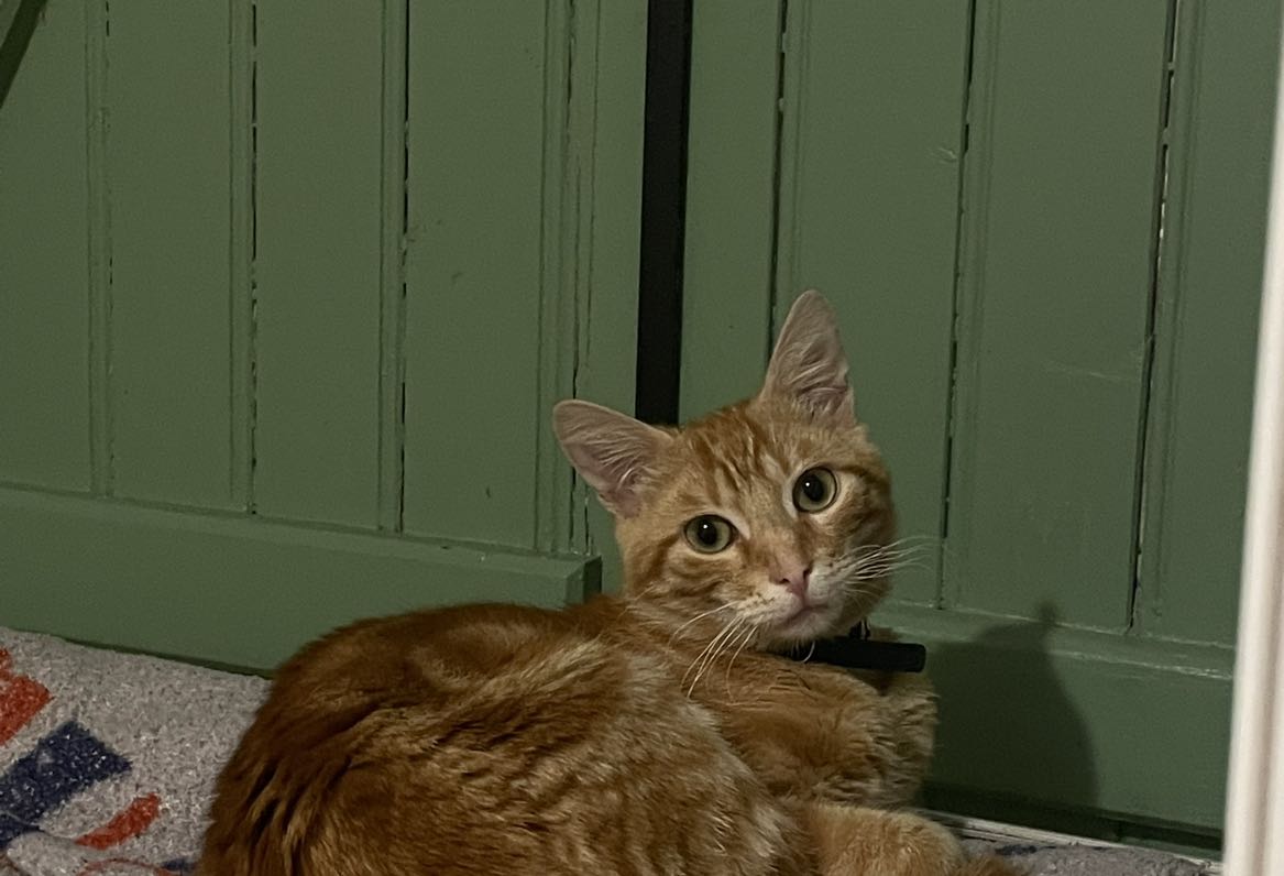 Loki