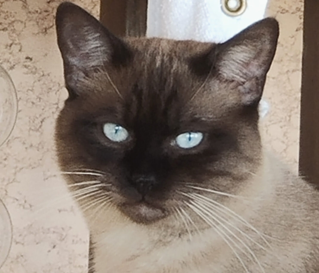 Missing